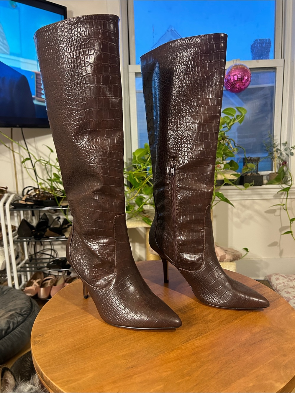 Brown Croc-Embossed Knee High Pointed-Toe Boots